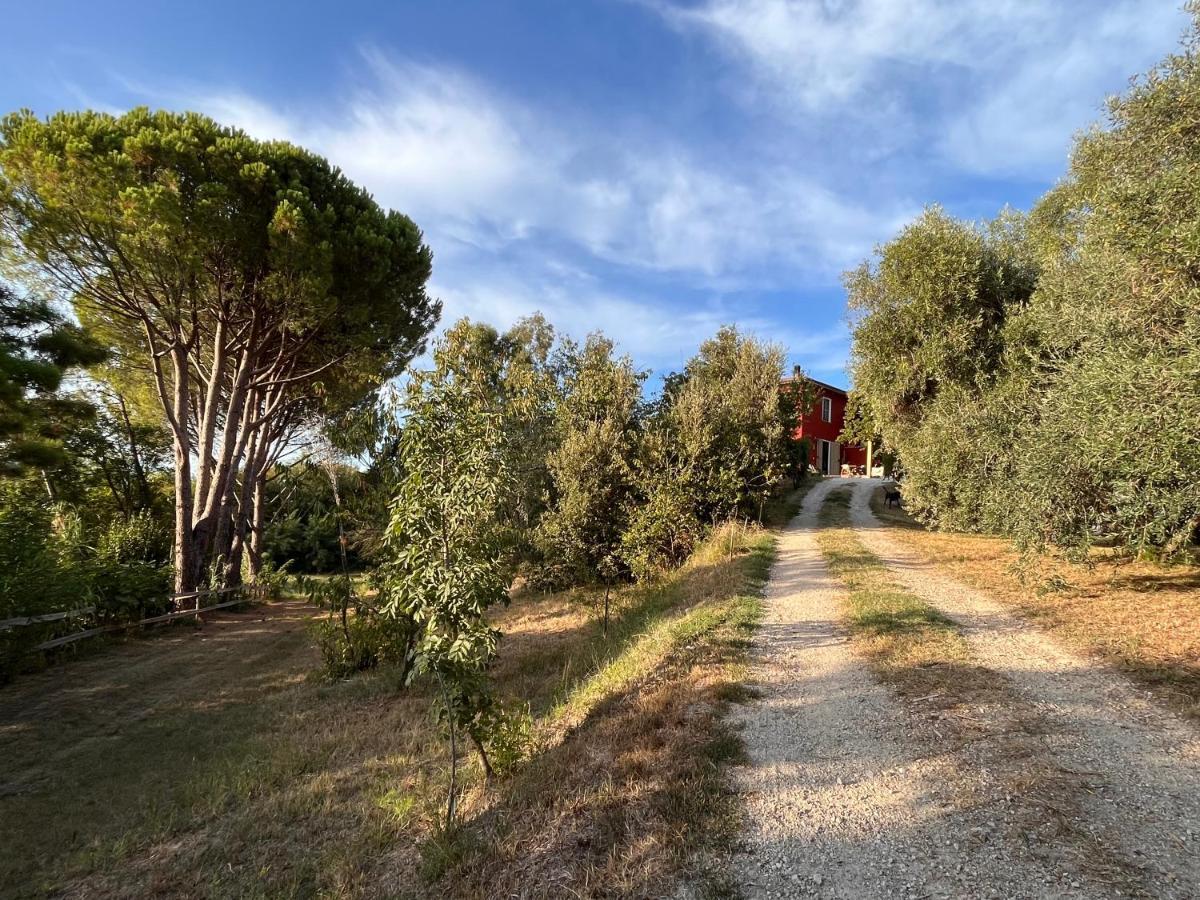 Podere Orzale Agri Hospitality Usigliano Kültér fotó
