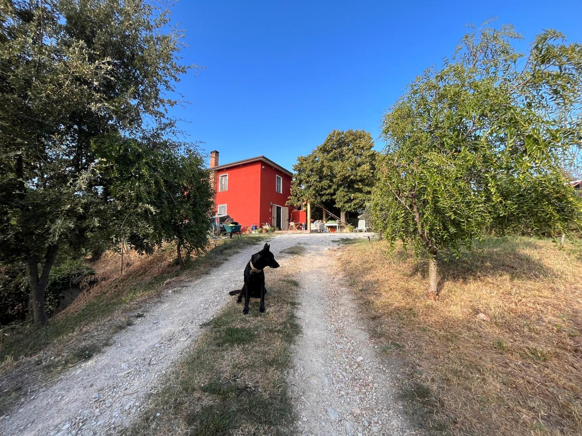 Podere Orzale Agri Hospitality Usigliano Kültér fotó