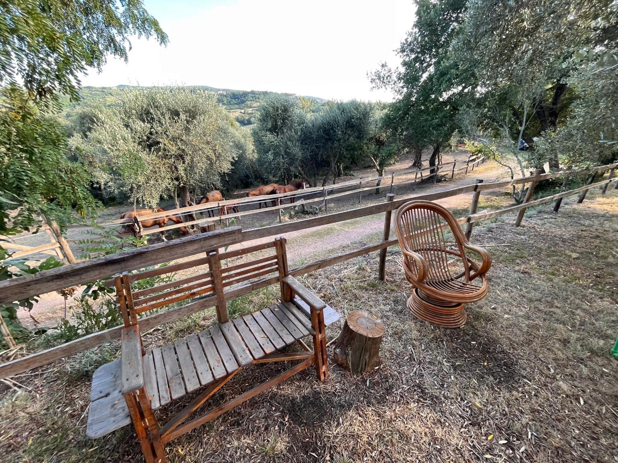 Podere Orzale Agri Hospitality Usigliano Kültér fotó