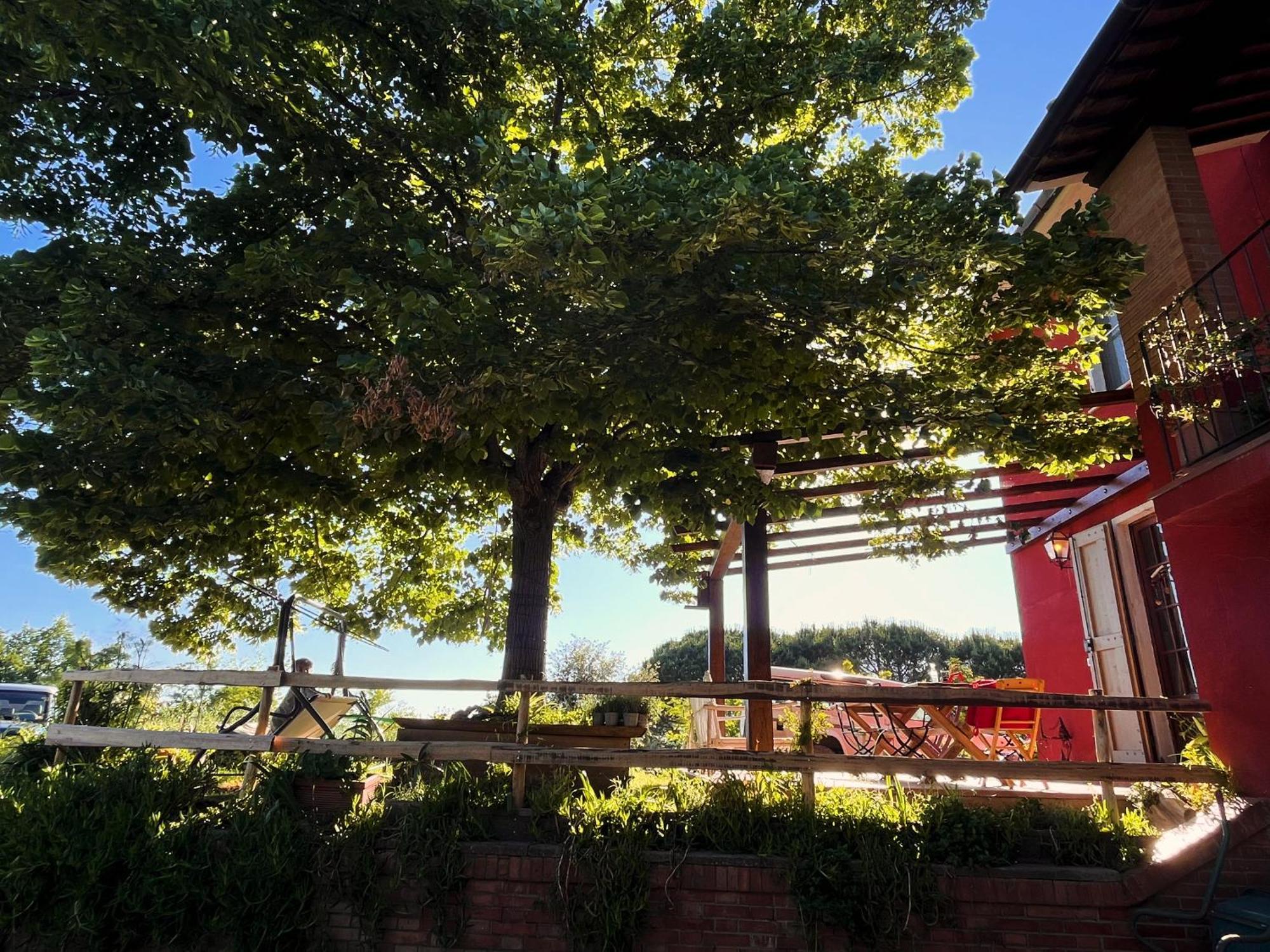 Podere Orzale Agri Hospitality Usigliano Kültér fotó