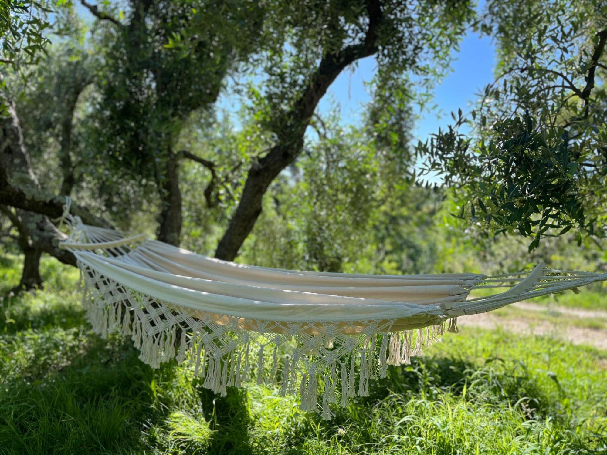 Podere Orzale Agri Hospitality Usigliano Kültér fotó
